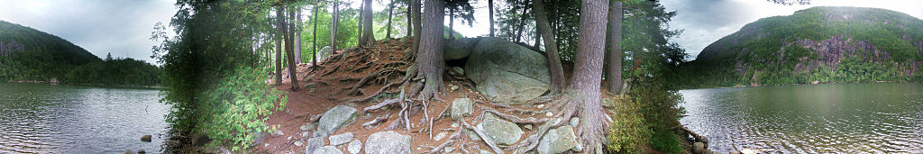 this-is-new-york.com Root and rock outcropping in Chapel Pond in the Adirondack Park photo by Kelly Chien