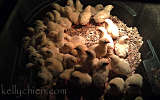 this-is-new-york.com Baby chicks at the Hobart Hardware Store in Hobart NY photo by Kelly Chien