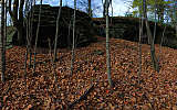 this-is-new-york.com Spooky rock and Autumn leaves on Mt. Bobb in Hobart NY photo by Kelly Chien